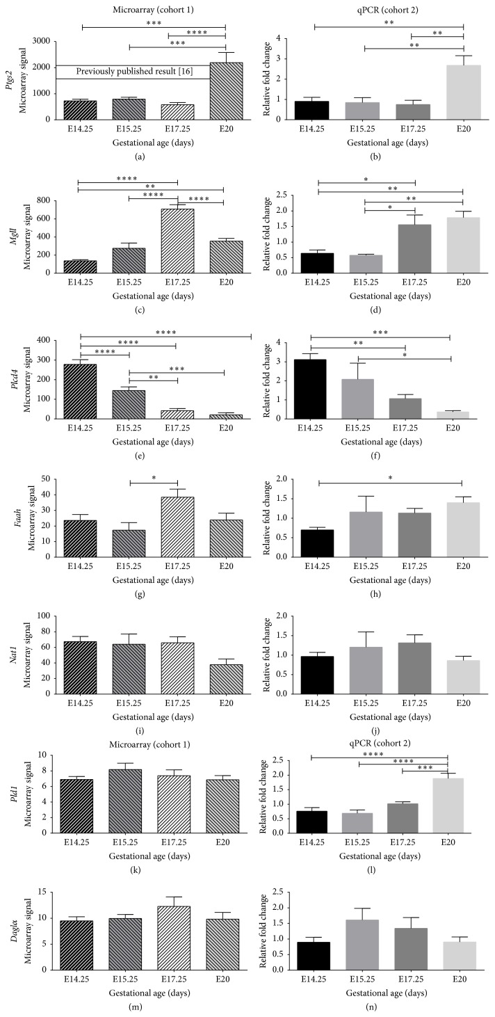 Differential expression of seven eicosanoid enzyme genes assessed by microarray (cohort 1) and validated by qPCR (cohort 2). The left panel shows the results of the microarray analyses; the right panel displays the results of the qPCR. (a) Ptgs2 by microarray in cohort 1 has been previously published. The level of statistical significance is shown as asterisk. Gene expression changes were considered significant when gene expression was changed by >2 (∗ P < 0.05; ∗∗ P < 0.005; ∗∗∗ P < 0.001; ∗∗∗∗ P < 0.0001; and ns P > 0.05).