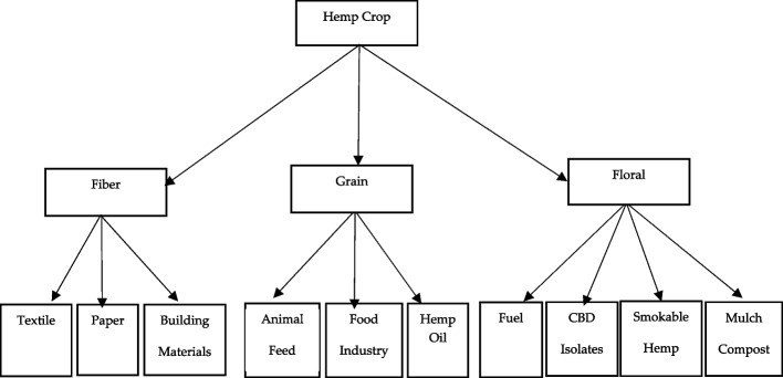 Principal products and uses derived from industrial-hemp plant parts. Source: author-generated schematic based on Kaur et al. (2025)