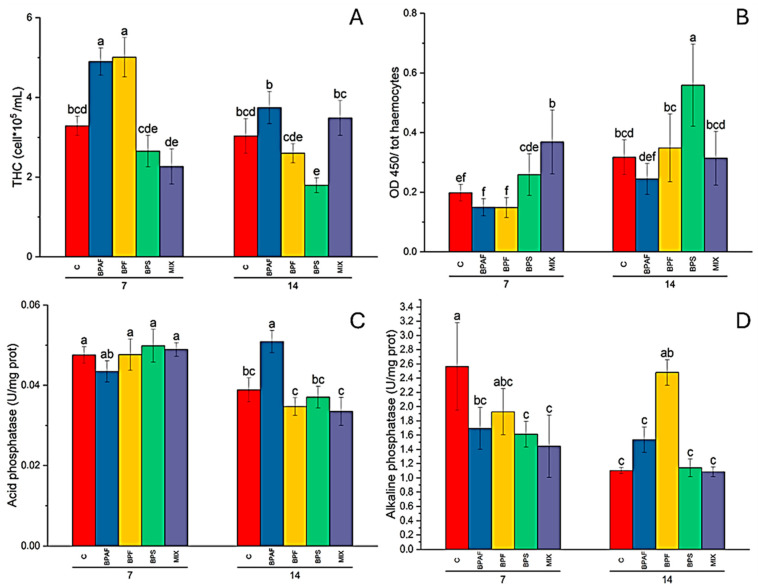 Total haemocyte count (THC), expressed as n° haemocytes (105)/mL haemolymph (A); haemocyte proliferation, expressed as OD450 (B); acid phosphatase activity in CFH, expressed as U/mg proteins (C); and alkaline phosphatase activity in HL, expressed as U/mg proteins (D), in clams fed with bisphenol-exposed microalgae. Different letters indicate significant differences among all treatments. N = 5.