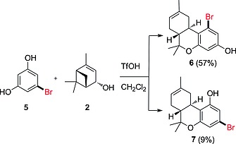 Reaction of 5‐bromoresorcinol (5) with (–)‐verbenol (2) to give regioisomers 6 and 7.