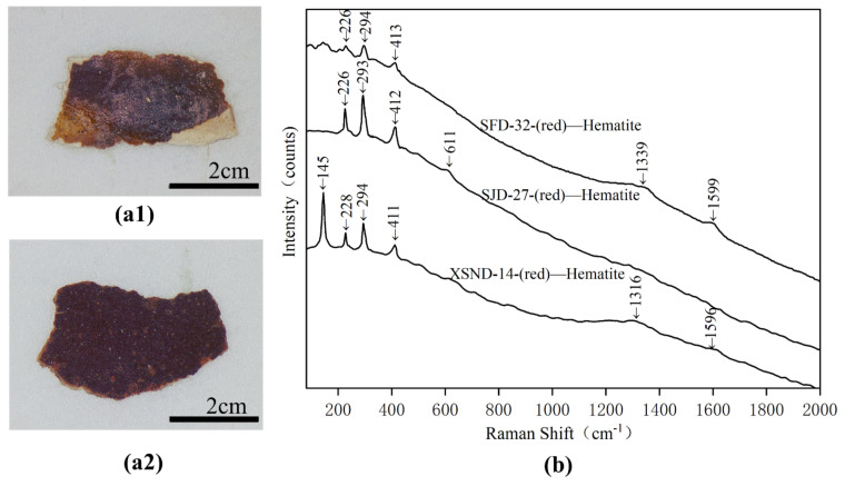 Digital microscopy (DM) of red samples (a1) XSND-14; (a2) SJD-27) and Micro-Raman spectroscopy (b) SFD-32; SJD-27 and XSND-14.