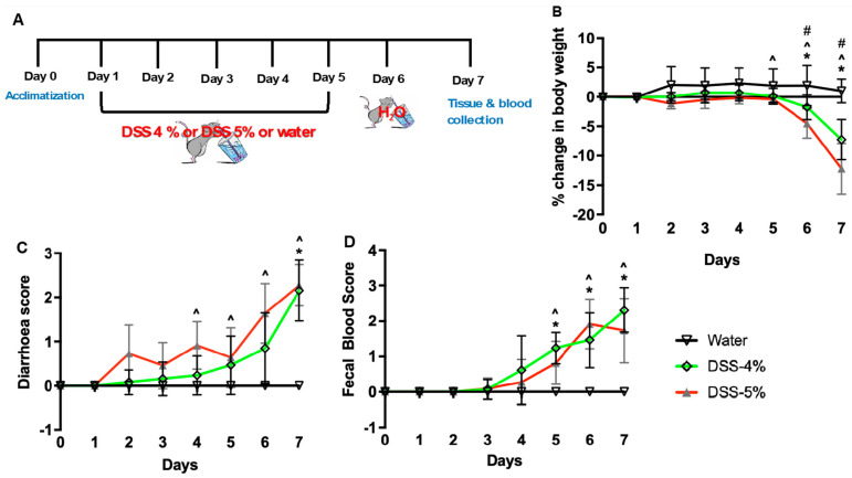 Mice administered dextran sodium sulfate (DSS) exhibit clinical signs of ulcerative colitis. (A) Schematic diagram of DSS-induced colitis mouse model. (B) Percentage reductions in body weight, (C) diarrhea score (stool consistency), and (D) fecal blood score in mice given either water or DSS 4% or DSS 5% from day 1 to day 5. Data are represented as means ± SEMs; N = 9 or 10. Statistical analysis was performed separately for each day using one-way ANOVA; * p < 0.05 water vs. DSS 4%; ^ p < 0.05 water vs. DSS 5%; # p < 0.05 DSS 4% vs. DSS 5%.