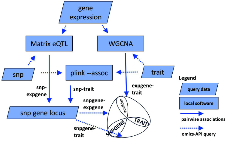 Use cases on multi-omics analyses using local software and the ICGRC omics API. The different use cases in the Jupyter notebook demonstration can be found at [105]. Results from the analysis are the top associations of SNP-transcript (Matrix eQTL), transcript-trait (WGCNA), or SNP-trait (plink -assoc). The common datatypes between tools are SNPs (Matrix eQTL-plink), transcripts (Matrix eQTL-WGCNA), or traits (plink-WGCNA). Combining their results generates a list of candidate genes with two independent evidence of associations.