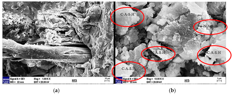 (a) SEM image of 5% hemp fiber-reinforced geopolymer mortar at 250× magnification and (b) at 1000× magnification.