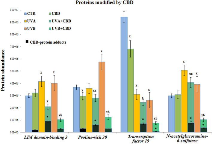 The level of proteins modified by cannabidiol (CBD) in plasma from the control rats (CTR) and animals topically treated with cannabidiol (2.5 g CBD in 100 g petrolatum) and/or irradiated with UVA (increasing doses from 0.5 to 5 J/cm2) or UVB (increasing doses from 0.02 to 2 J/cm2). Mean values ± SD of six independent experiments are presented. xStatistically significant differences vs. CTR group, p < 0.05; aStatistically significant differences vs. UVA irradiated group, p < 0.05; bStatistically significant differences vs. UVB irradiated group, p < 0.05; *Statistically significant differences vs. CBD treated group, p < 0.05.