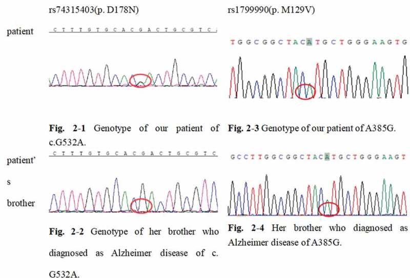 Gene report of the patient and her brother.