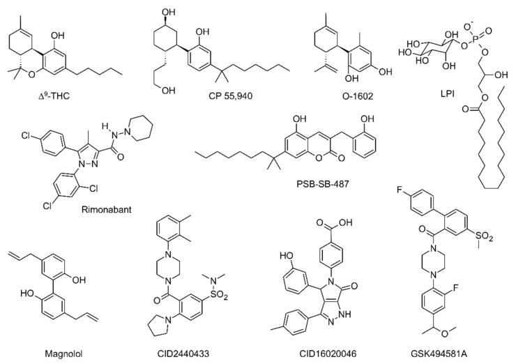 Chemical structures of representative GPR55 ligands.