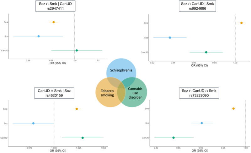 Example forest plots from the ASSET European ancestry cross-disorder meta-analysis of CanUD, Smk, and Scz.The lower right panel shows lead SNP (rs73229090) in Scz ∩ CanUD ∩ Smk subset. The upper right panel shows SNP (rs9924686) in Scz ∩ CanUD | Smk subset. The upper left panel shows SNP (rs2947411) in Scz ∩ Smk | CanUD subset. The lower left panel shows SNP (rs4620159) in CanUD ∩ Smk | Scz subset.