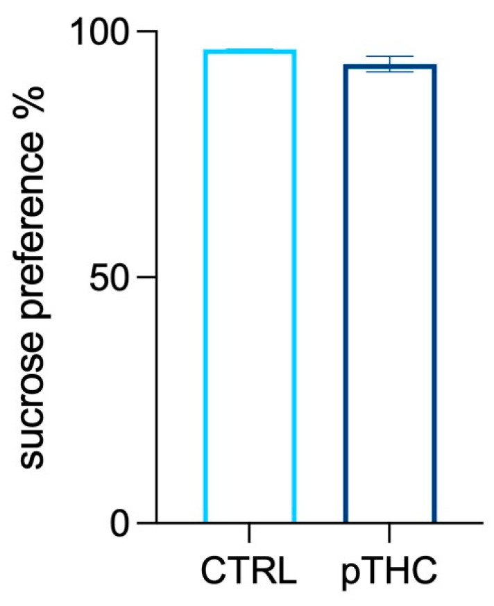 Effects of prenatal TCH exposure (2 mg/kg) on the responsivity to natural reinforcing stimuli of the adolescent male rat offspring in the sucrose preference test. Prenatal exposure to THC did not affect sucrose preference, calculated as the percentage of the volume of the sucrose solution intake divided by the total fluid volume (water plus sucrose). Each bar represents the mean of n = 9 rats in the CTRL group and n = 8 rats in the pTHC group; error bars indicate SEM. CTRL = male rat offspring prenatally exposed to Veh; pTHC = male rat offspring prenatally exposed to THC.