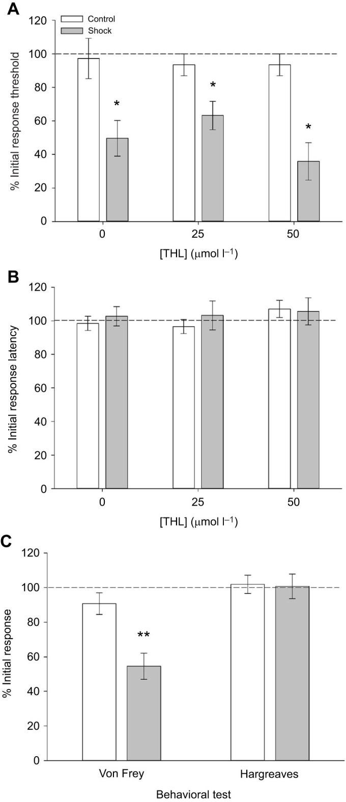Inhibition of endocannabinoid signaling does not affect shock-induced sensitization. (A) Animals injected 25 µmol l−1 THL (shocked N=10, control N=9) or 50 µmol l−1 THL (shocked N=7, control N=8) are still sensitized to non-nociceptive stimuli by electroshocks (*P<0.001) and are no different from DMSO-injected (0; shocked N=9, control N=10) animals. (B) No shock-induced changes in response to nociceptive stimuli are observed in DMSO- or THL-injected animals. (C) Shock-induced sensitization to non-nociceptive stimuli are still observed in animals injected with SB366791 (shocked N=11, control N=12). Drug injection has no effect on responses to nociceptive stimuli in shocked animals (**P<0.005). Unshocked animals injected with SB366791 (controls) are not affected by the drug.