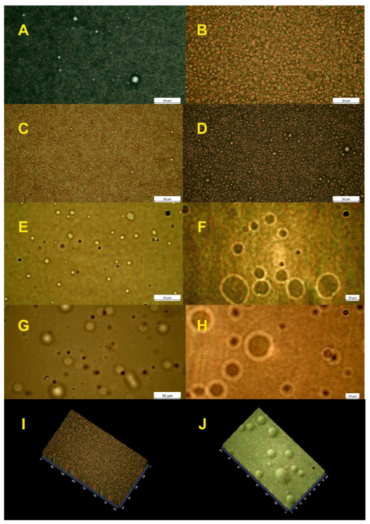 Light microscopy images of 5% HSO in water emulsions: without AHE (A) and (B) (magnification ×40 and ×100, respectively); with 2 g/L AHE (C) and (D) (magnification ×40 and ×100 respectively); 5% HSO in Nebudose emulsions: without AHE (E) and (F) (magnification ×40 and ×100 respectively); with 2 g/L AHE (G) and (H) (magnification ×40 and ×100 respectively); (I) 2.5 D images of the 5% HSO in water emulsion with 2 g/L AHE; (J) 2.5 D images of 5% HSO in Nebudose emulsion with 2 g/L.