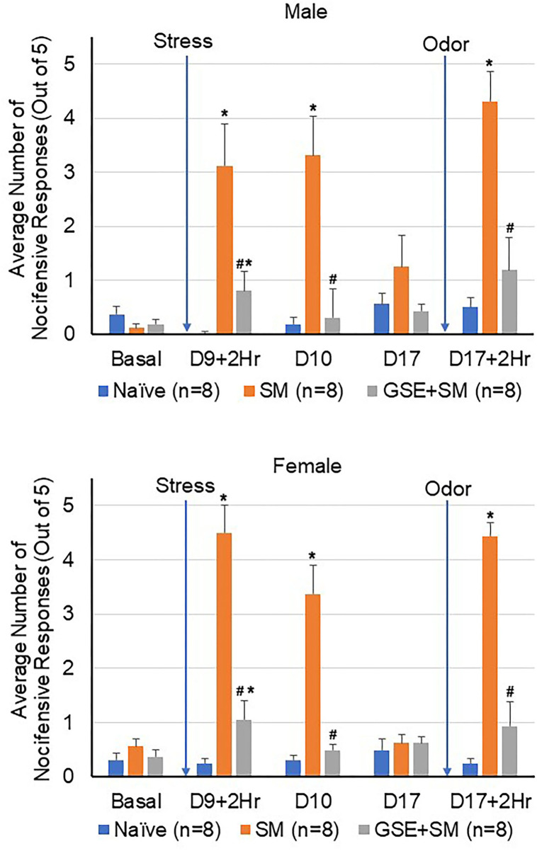 GSE supplementation inhibits trigeminal nociception in the orofacial region mediated by pungent odor in latent-sensitized animals. The average number of nocifensive head withdrawal responses ± SEM to mechanical stimuli are reported for male (top panel) and female animals (bottom panel). Some animals were left untreated (Naïve) while other animals were subjected to restraint stress for 3 consecutive days prior to exposure to pungent odor on day 9 (stress model, SM). Some animals received daily GSE in lieu of water for 1 week prior to restraint stress and supplementation was continued for remainder of study (GSE + SM). *P < 0.05 when compared to Naïve mechanical sensitivity levels at that time point. #P < 0.05 compared to SM levels.