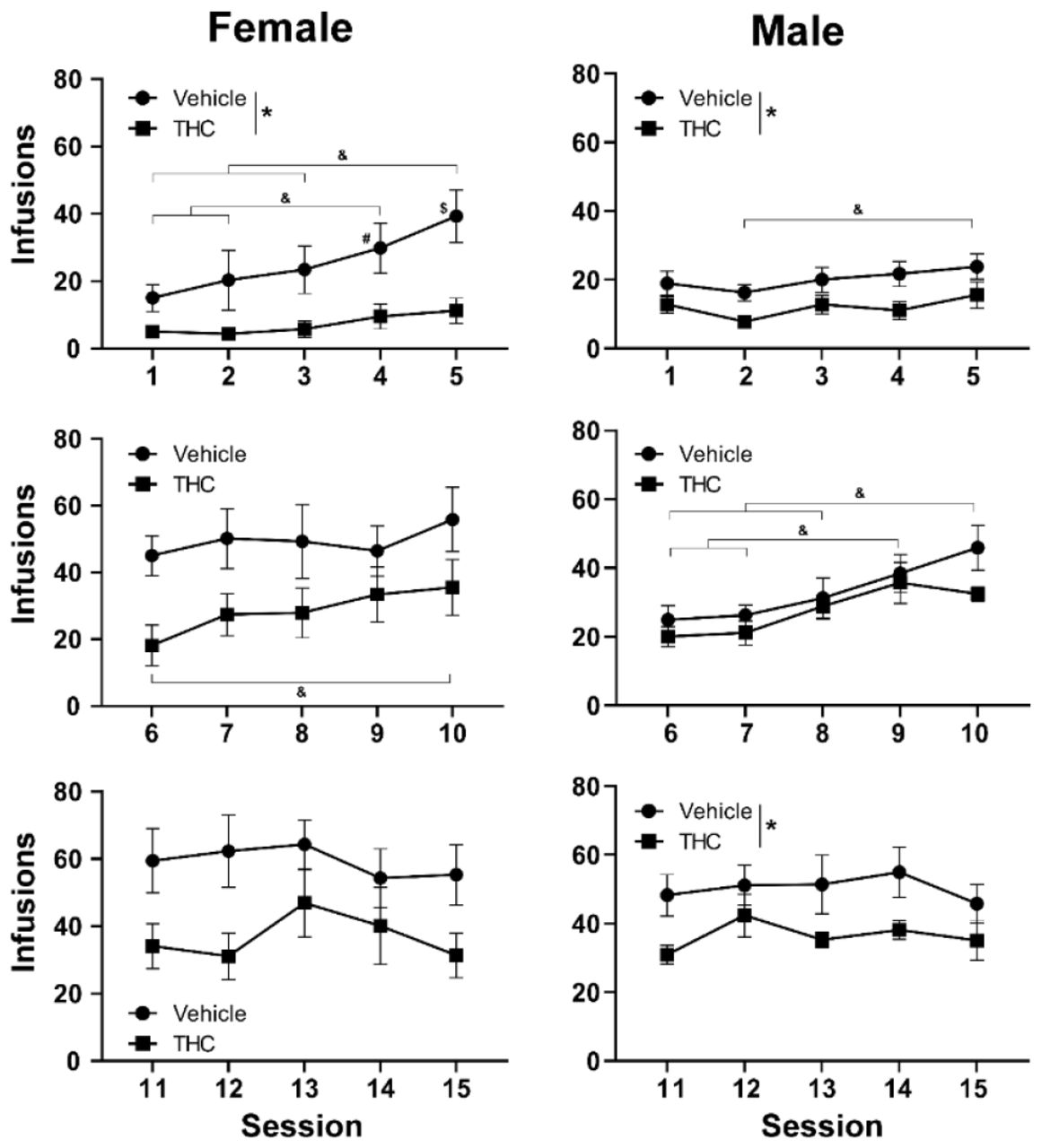 Mean (±SEM) infusions obtained in the first 15 sessions by female and male rats. A significant effect of Group is indicated with *, and a significant effect of Session, collapsed across group is indicated with &.