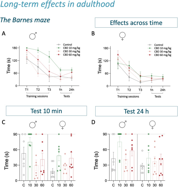 Long-term effects of adolescent cannabidiol treatment on cognitive performance in adult male and female rats. Time spent (s) in 3 consecutive trials (T1, T2, T3) and 2 test sessions (spaced 24 h) to complete the Barnes maze in adult (A) male and (B) female rats. Data represent mean ± SEM of the time (s) spent to complete the Barnes maze. Note that a time-limit is present for trials (180 s) and test sessions (90 s). Two-way repeated measures ANOVAs were performed to assess the effects across time (independent variables: test day and treatment Group). (C,D) Individual values are shown within treatment bars for each rat (symbols) for test sessions 10 min and 24 h. A grid line represents the maximum amount of time available to resolve the maze (90 s). Two-way ANOVAs, with sex and treatment as independent variables, were performed