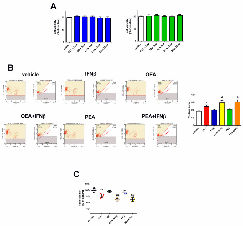 OEA, PEA, and IFNβ treatment effect on SH-SY5Y cell viability. Cells were treated for 24 h with vehicle, OEA, or PEA. Cell viability was then assessed by the MTT assay (A). Cells were pre-treated with OEA and PEA (3 µM–6 h) and then stimulated with IFNβ (5 ng/mL–24 h). The viability was measured by the Muse® Viability kit. Values are reported as the percentage of dead cells and are represented as the mean ± SEM of four experiments. * p < 0.05 versus vehicle and # p < 0.05 versus IFNβ (B). SH-SY5Y cells were pre-treated with OEA and PEA (3 µM–6 h) and then stimulated with IFNβ (5 ng/mL–24 h) and cell viability was assessed by a luminescence assay. The values are expressed as percentage of control (vehicle) and the results are represented as the mean ± SEM of four independent experiments. ** p < 0.01 versus vehicle and ## p < 0.01 versus IFNβ (C).