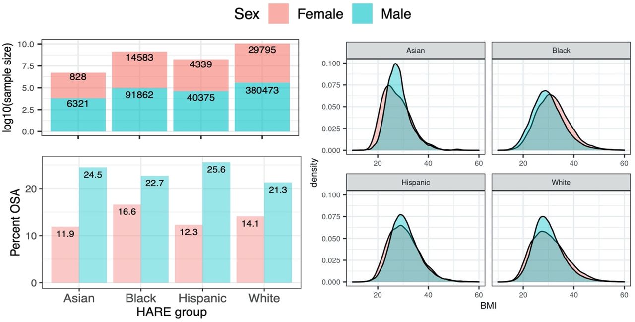 Proportions of OSA and BMI distribution across MVP HARE groups.Top left: number of OSA participants by HARE group and biological sex. Bottom left: Proportion of MVP participants who have OSA according to the EHR, stratified by HARE group and by sex. Right: density plots of BMI stratified by HARE and sex.