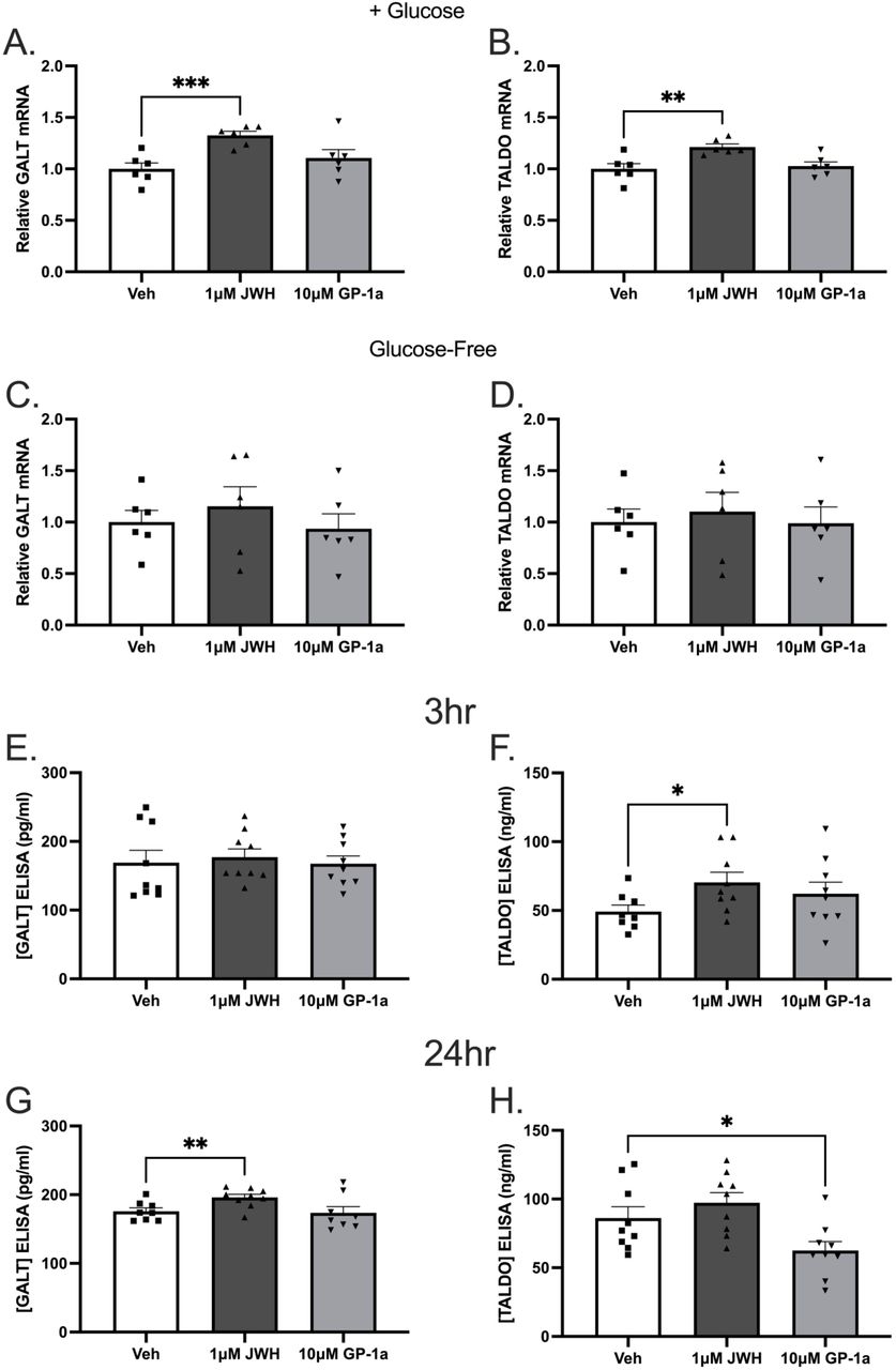 Both SRC and proton leak are altered in T cells following the manipulation of CB2R signalling.(A) Seahorse XF Analyser studies assessing the SRC of Jurkat T cells following 3 h, 24 h, and 48 h cannabinoid treatment (N = 3, n = 3). (B) Seahorse XF Analyser studies assessing the rate of proton leak in Jurkat T cells following 3 h, 24 h, and 48 h cannabinoid treatment (N = 3, n = 3). Bar chart dots are representative of technical replicates. (E) GALT concentration in Jurkat T cells following 3 h and (G) 24 h cannabinoid treatment investigated via ELISA assay (N = 3, n = 3). (F) TALDO1 concentration in Jurkat T cells following 3 h and (H) 24 h cannabinoid treatment investigated via ELISA assay (N = 3, n = 3). Bar chart dots are representative of technical replicates. Statistical analysis performed using a two-tailed student’s T test, with values of significance being indicated as * p<0.05, ** p<0.01, *** p<0.001.