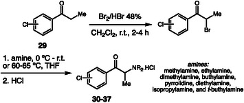 Synthesis of chloro‐cathinones.