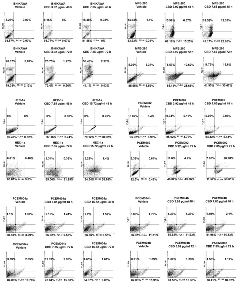 CBD induced cell death in EC cell lines. EC cell lines were treated with CBD for 72 h. Flow cytometric analysis was performed by Annexin V and PI double-staining. FL1-H fluorescence signal is in x-axis. Data represent the percentage of PI and/or Annexin V+ cells and are representative of one of three separate experiments.