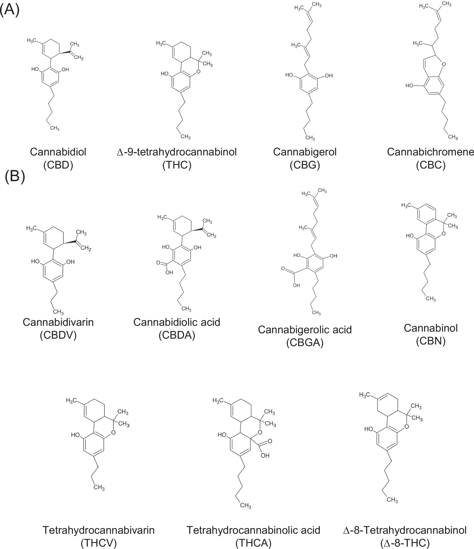 (A) Phytocannabinoids that have been studied in relation to bone. (B) Other phytocannabinoids found in cannabis