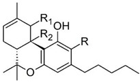 pharmaceutics-13-01823-i002.jpg