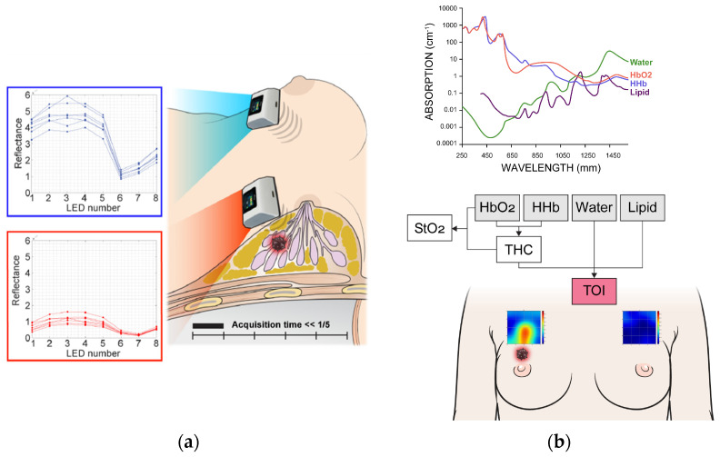 Measurement process (a) and spectral analysis (b) using discrete multi-wavelength near-infrared spectrum (DMW-NIRS). HbO2 = oxy-hemoglobin, HHb = deoxy-hemoglobin, Lipid = bulk lipid, StO2 = percent oxygen saturation, THC = total hemoglobin concentration, TOI = tissue optical index.