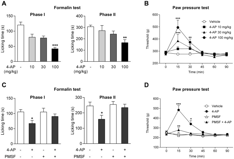 The antinociceptive effect of 4-aminophenol is dependent on fatty acid amide hydrolase (FAAH) in rats.4-Aminophenol at a dose of 100 mg/kg significantly reduced the first and second phases of the formalin test (A; n = 7–8). Both the 30 mg/kg and the 100 mg/kg doses of 4-aminophenol increased the withdrawal threshold in the paw pressure test (B; n = 8). Pre-treatment with phenylmethanesulfonyl fluoride (PMSF; 10 mg/kg) substantially reduced or prevented the antinociceptive effect of 4-aminophenol (100 mg/kg) in the formalin (C; n = 10–14) and paw pressure (D; n = 7–11) tests. The different doses of 4-aminophenol were injected by the intraperitoneal route 10 min before the tests. PMSF was injected subcutaneously 20 min before 4-aminophenol administration. *p<0.05, **p<0.01 and ***p<0.001 when compared to vehicle injection, using Kruskal-Wallis one-way ANOVA followed by Dunn’s test (A), repeated measures two-way ANOVA followed by Dunnetts (B) or Sidak’s (D) multiple comparisons tests, or Mann-Whitney U test (C).