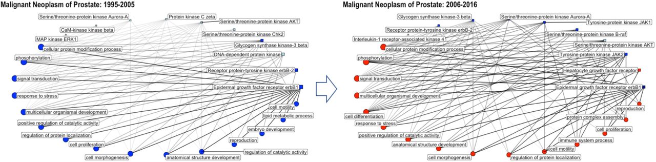Network graphs showing the connectivity of single proteins and GO biological process annotations annotated to the disease “malignant neoplasm of prostate” for the time periods 1995-2005 and 2006-2016. Circles correspond to GO biological process annotations; squares correspond to single protein targets; only the top 10 single protein targets and top 15 GO terms are shown (with respect to percentage of total bioactivities); the size of the circle/square as well as the thickness of the connecting lines is correlated to the percentage of bioactivities associated with this GO annotation/protein; the color code is reflecting the number of available drug-efficacy target annotations (light blue: 0; blue: 1-5; navy: 6-10; red >10).