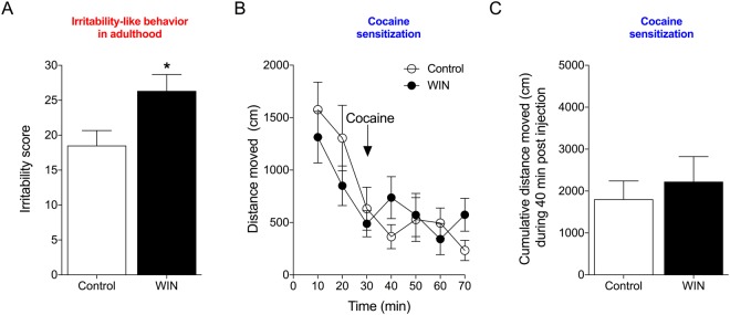 Irritability-like behavior and cocaine-induced locomotor activity in adult rats. (A) Prior treatment with WIN increased irritability-like behavior 18 h after the last cocaine self-administration session. *p < 0.05 (Student’s two-tailed unpaired t-test). (B) Prior WIN treatment did not alter cocaine-induced (10 mg/kg, i.p.) locomotor activity in adulthood. (C) The 40-min cumulative locomotor activity score during the cocaine challenge was unaffected by prior WIN treatment. n = 6.