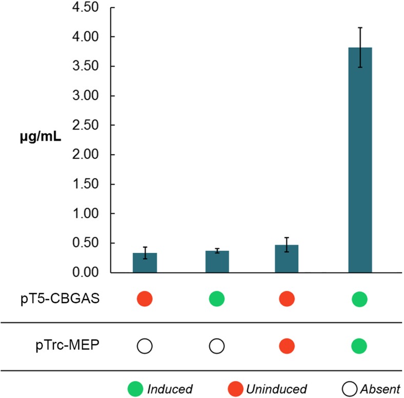 Enhancing GPP flux to the synthesis of CBGA enhances productivity of the strains. CBGA synthase is expressed on a high-copy plasmid under the control of a T5 promoter, whereas the rate-limiting enzymes of the non-mevalonate pathway, whose overexpression is critical for enhancing GPP production, are expressed on a medium-copy plasmid under the control of an IPTG-inducible Trc promoter. The replication and expression of both plasmids is compatible with one another. Error bars represent the standard deviation in the titer of CBGA