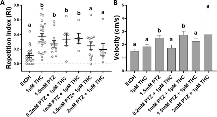 Co-administration of Tetrahydrocannabinol (THC) and GABAA receptor antagonist pentylenetetrazol (PTZ) affects the THC-induced behavioral stereotypy in adult zebrafish. (A) At 1.5 mM PTZ with 1 μM THC the THC-induced Repetition Index (RI), calculated as a mean ± SEM, was not statistically different from the controls (EtOH) (ns p = 0.1578). (B) 1.5 mM PTZ and 1 mM PTZ with 1 μM THC caused significant increases in swimming velocity compared to controls (EtOH) (*p < 0.05). Controls EtOH (0.0015%) (n = 19), 1 μM THC (n = 23), 1.5 mM PTZ (n = 12), 0.2 mM PTZ + 1 μM THC (n = 6), 1 mM PTZ + 1 μM THC (n = 5), 1.5 mM PTZ + 1 μM THC (n = 12) and 2 mM PTZ + 1 μM THC (n = 6). Mean RI values of 0.2 mM PTZ (n = 6) and 2 mM PTZ (n = 6), were similar to 1.5 mM PTZ. Values without a letter in common are statistically different to the control condition (p < 0.05, Kruskal–Wallis and Dunn's multiple comparisons test).