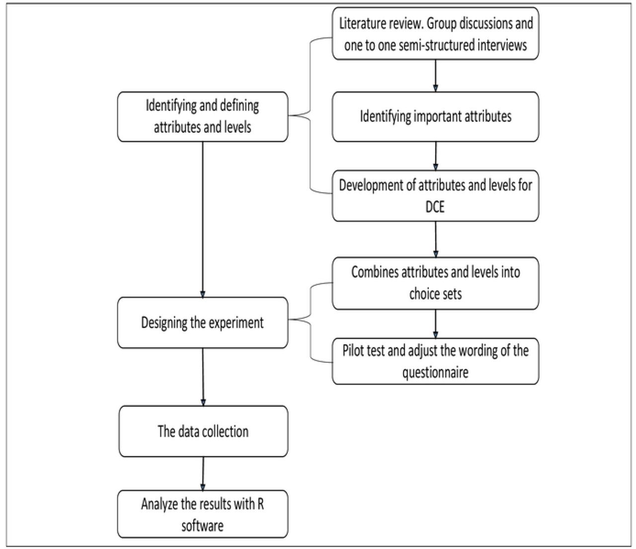 The Development Process of DCE
