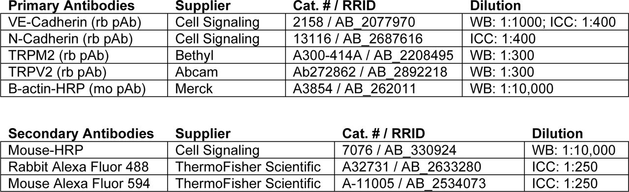 Antibodies used for Western blotting and immunocytochemistry
