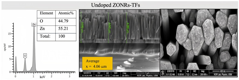 Cross-sectional FESEM images (right) and EDX spectra (left) of undoped ZONRs-TFs.
