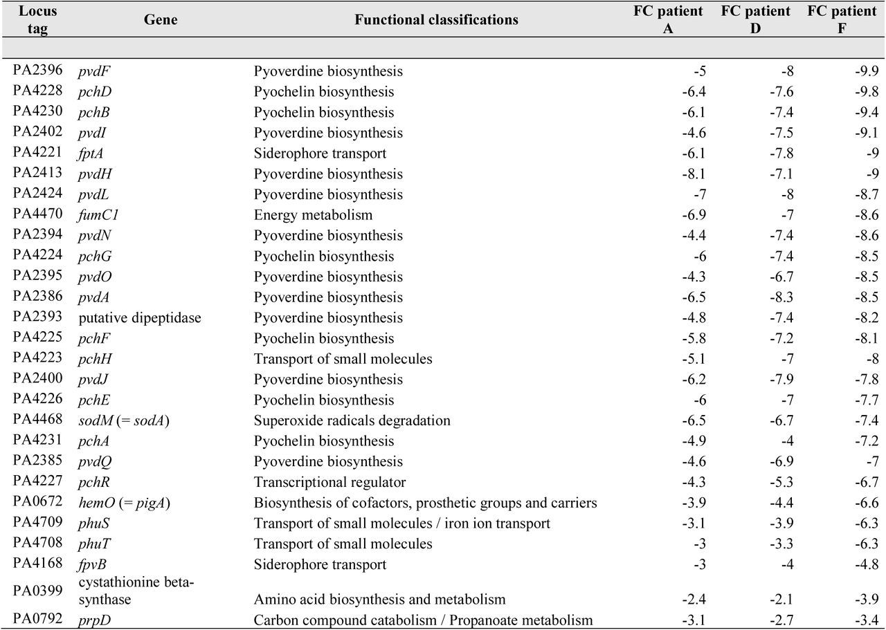 List of the 27 locus tags significantly down-regulated in both transcriptomics and proteomics (8) in the three late isolates (from patients A, D and F) grown in Human Urine (HU). Gene functional classification was performed using the Pseudomonas Genome Database.
