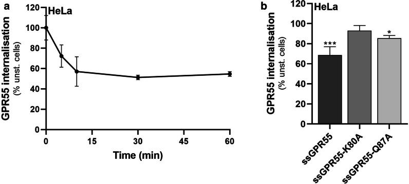 LPI does not induce GPR55-K80A internalisation. a Quantification of ssGPR55 internalisation in transfected HeLa cells by FACS analysis, after live-cell immunostaining using the murine anti-HA antibody (see “Materials and methods” section for details). Cells were stimulated or not with 10 µM soybean LPI and analysed over time. The mean fluorescences obtained are expressed as percentages of the unstimulated sample (unst.), and are indicative of the residual GPR55 plasma-membrane localisation. The efficiency of transfection in these experiments was 55%, and the mean fluorescence of ssGPR55-expressing unstimulated HeLa cells was 3305 ± 397 a.u.. Data are means ± SEM of three independent experiments. b HeLa cells expressing ssGPR55 wild-type and mutants (as indicated) were stimulated for 15 min without or with 10 µM soybean LPI, and then cell-surface localisation of the receptors was quantified by FACS. Data are means ± SEM of three independent experiments, and are mean fluorescences of each sample as percentage of correspondent unstimulated cells. The efficiency of transfection in these experiments was 44%, 42%, 42%, and the mean fluorescences were 1982 ± 247, 1747 ± 325, 1889 ± 443, for ssGPR55 wild-type, ssGPR55-K80A and ssGPR55-Q87A, respectively. *p < 0.05; ***p < 0.005 (Student’s t-tests) versus corresponding unstimulated cells