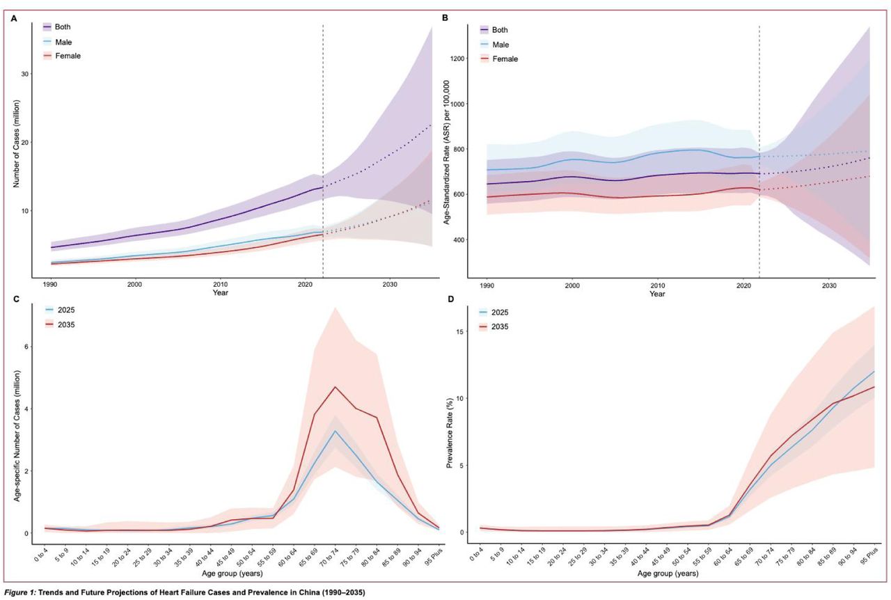 Trends and Future Projections of Heart Failure Cases and Prevalence in China (1990–2035)
