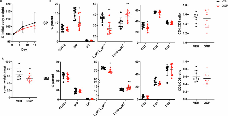 OGP administration in naïve WT mice has a minimal effect on myelopoiesis and lymphopoiesis.a Body weight expressed as percent (%) initial of weight recorded on day of first injection (day 0), two-way ANOVA, p = 0.4889. b spleen weight. c Relative frequency of the spleen (SP, top) and bone marrow (BM, bottom) populations of CD11b+ and subpopulations of immature myeloid cells (CD11b+Ly6GhiLy6Cint and CD11b + Ly6G-Ly6Chi), macrophages (MΦ, CD11b+F480+), dendritic cells (DC, CD11bhi Cd11chi), CD3+, CD3+CD4+, and CD3+CD8+ T cells, and the CD4:CD8 ratio. Indicated values are expressed as percent of the parent population, as determined by flow cytometry analysis. VEH, n = 8; OGP (700 ng/week), n = 8. Student’s t-test, *p < 0.05 and **p < 0.01.