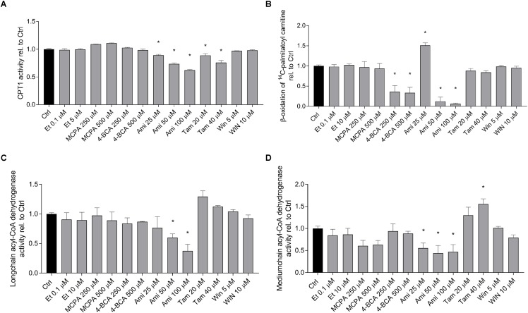 Effect on fatty acid metabolism in isolated mouse liver mitochondria. Isolated, previously frozen mouse liver mitochondria were used as enzyme source. (A) Effect on CPT1A activity. Formation of 14C-palmitoylcarnitine from 14C-palmitoyl-CoA was assessed after incubation with the toxicants for 10 min. Basal rates of palmitoyl-CoA formation for control incubations (0.1% DMSO) were 3.0 ± 0.25 nmol palmitoyl-CoA × min-1 × mg protein-1. (B) Effect on 1-14C-palmitoylcarnitine metabolism. Mitochondria were treated with the toxicants for 10 min before formation of acid soluble products was determined. Basal rates of palmitoylcarnitine oxidation for control incubations (0.1% DMSO) were 213 ± 22 nmol palmitoylcarnitine × min-1 × mg protein-1. (C,D) Effect on long-chain and medium-chain acyl-CoA dehydrogenases. After pretreatment with the toxicants for 3 min, reduction of cytochrome c by FADH produced by the acyl-CoA dehydrogenases was determined spectrophotometrically. Basal rates of cytochrome c oxidation by long- and medium-chain acyl-CoA dehydrogenases in control incubations (0.1% DMSO) were 53.7 ± 2.2 nmol × min-1 × mg protein-1 and 32.3 ± 1.2 nmol × min-1 × mg protein-1, respectively. Results were normalized to the values obtained in DMSO 0.1% exposed controls and are expressed as mean ± SEM. ∗p < 0.05 vs. DMSO 0.1% control.