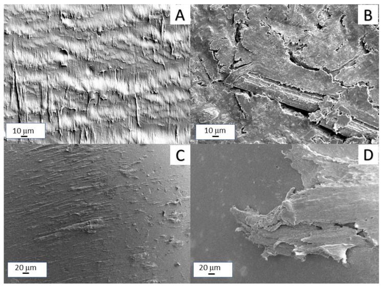 Topographical features of the surfaces of neat EVA (A); EVA/HFB 80/20 (B); alumina ball after sliding tests against neat EVA (C); alumina ball after sliding tests against EVA/HFB 60/40 composite (D).