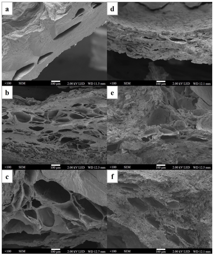 The microstructure of cellulose nanocrystals from hemp and polyvinyl alcohol-based composite hydrogel: (a) pristine PVA, (b) 1% CNC/PVA, (c) 3% CNC/PVA, (d) 5% CNC/PVA, (e) 7% CNC/PVA, and (f) 10% CNC/PVA. A cross-sectional view with a magnification of 100× was reported.