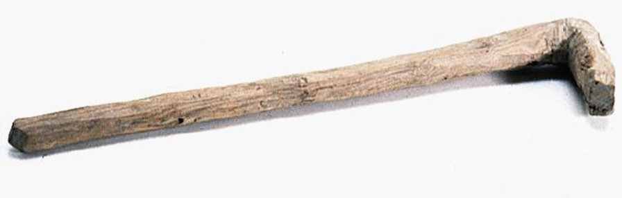 Wood mallet used to kill fish. Collected by Georg Söderbom in Charchak at Kum-darya during the Hedin expedition in May 1934 (Museum of Ethnography, Stockholm)