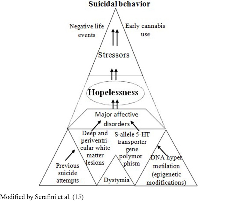 The complex interaction between risk factors involved in the emergence of suicidal behavior: the mediating effect of hopelessness.