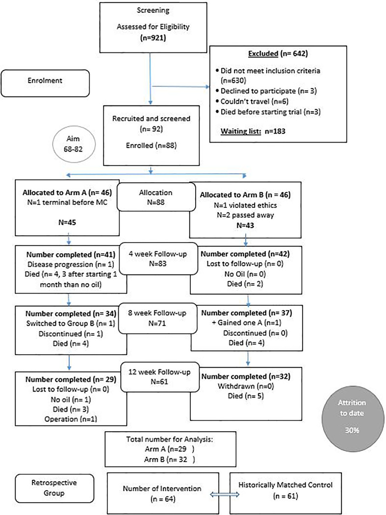 Consort diagram for the Cannabis and GBM trial.