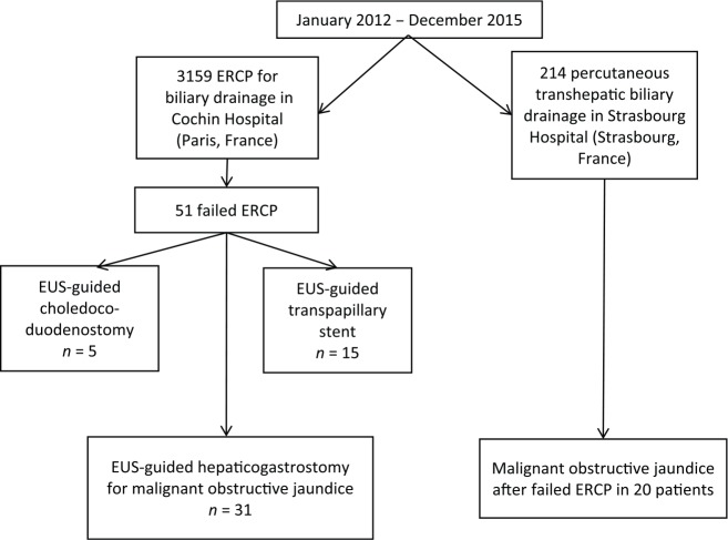 Flowchart of patient selection.EUS, endoscopic ultrasound; ERCP, endoscopic retrograde cholangiopancreatography.