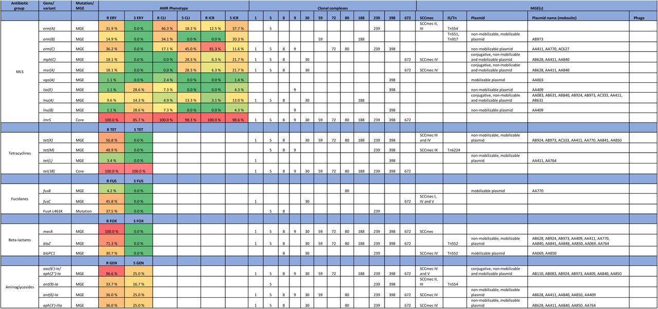 AMR traits detected in MDR-MRSA strains in Norway, and association with clonal complex and detected MGEs.AMR phenotype is given as percentage 231 of strains with the specific AMR trait where AST is interpreted as resistant (R), susceptible with increased exposure (I) or susceptible (S) towards the specific antibiotic(s) tested in each group: GEN, gentamicin; TET, tetracycline; ERY, erythromycin; CLI, clindamycin; ICR, Inducible clinidamycin resistance; FUS, fusidic acid, NOR, norfloxacin; CIP, ciprofloxacin; RIF, rifampicin; FOX, cefoxitin; TMP-SMX, Trimethoprim-sulfamethoxazole; MUP, mupirocin; LIN, linezolid.