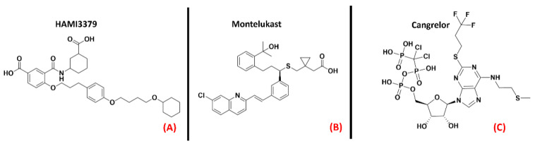 The chemical structures of the GPR17 inhibitors. The non-selective inhibitors HAMI3397, Montelukast (sold as a CysLT receptors inhibitor for asthma), and Cangrelor (an antiplatelet drug, reversible inhibitor of P2Y12 receptor), respectively (A–C).