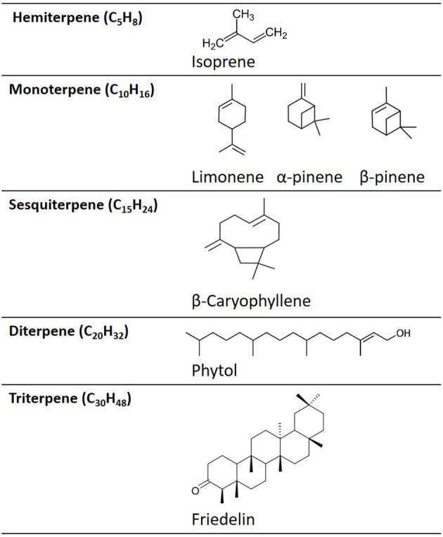 Examples of the chemical structures of different terpene categories.