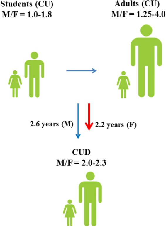 Male to female ratios of lifetime cannabis use (CU) and progression toward cannabis use disorder (CUD) among students (15–16 years) and adults (European Monitoring Centre for Drugs and Drug Addiction [EMCDDA], 2005). Although males have a higher risk of developing CUD (Zhu and Wu, 2017), progression toward CUD is faster in females (Khan et al., 2013).