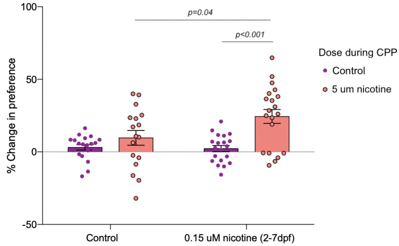 5 μM nicotine-induced place preference in adult zebrafish is exacerbated by developmental exposure to 0.15 μM nicotine (from 2-7 dpf). n=17 to 20 fish per experimental group.
